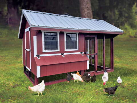 Sheds, Pergolas, Pavilions, Garages, Chicken Coops & Pre-Built Decks ...